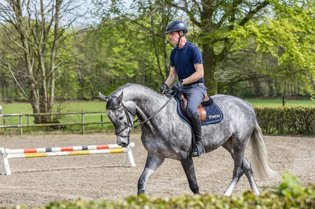 Dieses Bild zeigt einen Reiter auf einem Pferd im Dressurtraining.