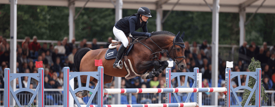 Stunning horse in action representing breeding excellence