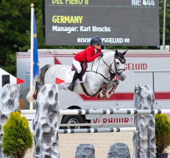 In diesem Bild ist ein Reiter auf einem weißen Pferd mit einer großen Sprungstrecke zu sehen, während sie sich auf einem Reitplatz befinden.